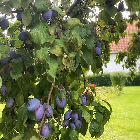 Apartamento Am Rittergut 100qm *