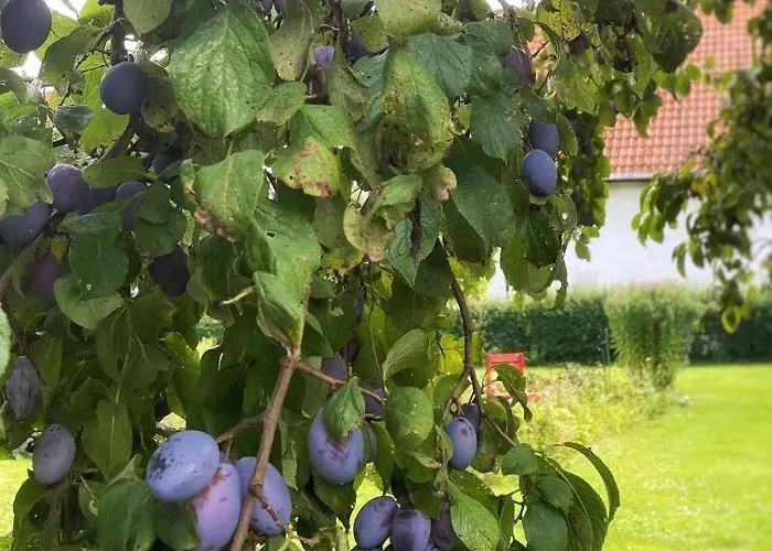 شقة Am Rittergut 100qm *